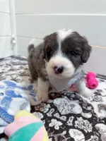 processed/6482c671-f902-43af-8c9c-b8355b8c56d4/listing/ba9afc1d-1607-492d-82de-908b98f589c2/a1d427a1-2cc6-4412-bdb2-44c9a0f0d657