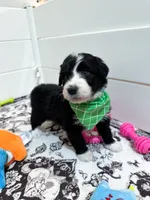 processed/6482c671-f902-43af-8c9c-b8355b8c56d4/listing/ccb4978b-18ab-4328-b2cb-785876f8fe23/935a1339-893f-439c-81b2-bb276f24b808