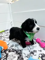 processed/6482c671-f902-43af-8c9c-b8355b8c56d4/listing/ccb4978b-18ab-4328-b2cb-785876f8fe23/b7813be4-87be-4da9-bd99-363bb5c3be55