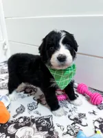 processed/6482c671-f902-43af-8c9c-b8355b8c56d4/listing/ccb4978b-18ab-4328-b2cb-785876f8fe23/ca31ad00-cddb-4d2a-88b3-1a272c09fa7c