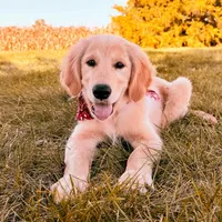 processed/648a52e0-5251-41cb-838c-03651bbcc746/facility/6c7a12be-a782-463d-824f-72a3db13dfa9