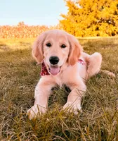 processed/648a52e0-5251-41cb-838c-03651bbcc746/facility/6c7a12be-a782-463d-824f-72a3db13dfa9