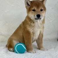 processed/648a52e0-5251-41cb-838c-03651bbcc746/facility/8fd49d08-52c1-4288-98b8-627aa2044f14