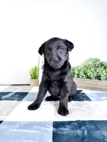 processed/648a52e0-5251-41cb-838c-03651bbcc746/listing/4290b4b1-c9e2-466c-bd9e-9b4949190e6b/0e68f62d-98fe-4525-a480-70ec5f9f954a