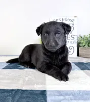 processed/648a52e0-5251-41cb-838c-03651bbcc746/listing/4290b4b1-c9e2-466c-bd9e-9b4949190e6b/473385d7-10b1-4cb6-9457-b01d79d8b781