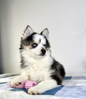 processed/648a52e0-5251-41cb-838c-03651bbcc746/listing/46234004-9aa2-4990-9822-be1c1c9929e3/2520e114-3cd9-4d76-9a69-65f2a8106ae6