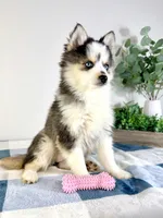 processed/648a52e0-5251-41cb-838c-03651bbcc746/listing/46234004-9aa2-4990-9822-be1c1c9929e3/a174f0cc-862c-4775-97f1-f02da65ad9e8