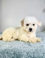 processed/648a52e0-5251-41cb-838c-03651bbcc746/listing/4bea3a30-d336-4158-aee9-b6b0633aa5d8/b7700ac2-5668-477f-a208-df6d4f6f36bb