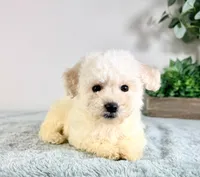 processed/648a52e0-5251-41cb-838c-03651bbcc746/listing/4bea3a30-d336-4158-aee9-b6b0633aa5d8/d5719ede-9251-434d-9d02-261ccaaa1b84