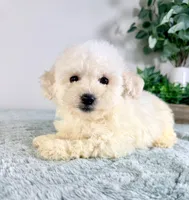 processed/648a52e0-5251-41cb-838c-03651bbcc746/listing/4bea3a30-d336-4158-aee9-b6b0633aa5d8/f4aa2fc4-a907-4452-94a8-e175a8e755b6