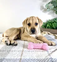 processed/648a52e0-5251-41cb-838c-03651bbcc746/listing/54f81823-8eaa-482f-9b7a-9775b1b9ca42/047de077-eb56-496a-8d85-d305a104a56a