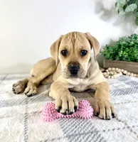 processed/648a52e0-5251-41cb-838c-03651bbcc746/listing/54f81823-8eaa-482f-9b7a-9775b1b9ca42/9a3476a1-9657-49c9-8b0e-cb8a4ffa81ea