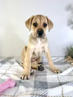 processed/648a52e0-5251-41cb-838c-03651bbcc746/listing/54f81823-8eaa-482f-9b7a-9775b1b9ca42/b9e22dbe-7cef-4b9a-92bd-19d29b2ffec8