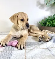 processed/648a52e0-5251-41cb-838c-03651bbcc746/listing/54f81823-8eaa-482f-9b7a-9775b1b9ca42/c1e14cd1-6403-4be2-ae52-1bd378a1ffeb