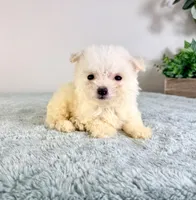 processed/648a52e0-5251-41cb-838c-03651bbcc746/listing/579ab748-0a17-473b-96d7-f897db61187c/178b08e3-d4d4-41ac-b487-9d27d3b4feab