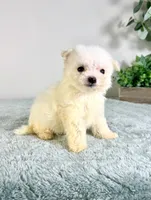 processed/648a52e0-5251-41cb-838c-03651bbcc746/listing/579ab748-0a17-473b-96d7-f897db61187c/26a69a75-c5c1-4b1c-98ef-d8495a0e2562