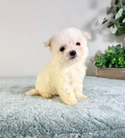 processed/648a52e0-5251-41cb-838c-03651bbcc746/listing/579ab748-0a17-473b-96d7-f897db61187c/3e0d30d7-e6e5-4fa8-8571-1bf881f1d116