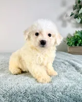 processed/648a52e0-5251-41cb-838c-03651bbcc746/listing/7a99fb19-0830-4eae-b683-0800dc11cead/0162af05-c587-4aa6-84eb-feaccf9fb17e