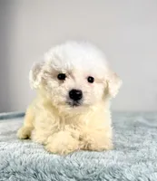 processed/648a52e0-5251-41cb-838c-03651bbcc746/listing/7a99fb19-0830-4eae-b683-0800dc11cead/9f417682-500e-47ef-9067-7f8fd112592b