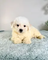 processed/648a52e0-5251-41cb-838c-03651bbcc746/listing/7a99fb19-0830-4eae-b683-0800dc11cead/ad491f21-8ecc-482a-b9f9-77965bac68bf