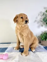 processed/648a52e0-5251-41cb-838c-03651bbcc746/listing/966e7211-7570-45d6-8f88-986b17637c0a/0ea9b4bd-bc22-4700-a97e-112636fee798