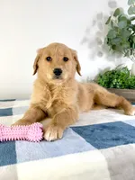 processed/648a52e0-5251-41cb-838c-03651bbcc746/listing/966e7211-7570-45d6-8f88-986b17637c0a/2b326d3b-965e-4617-ab66-0d15e6c5049c