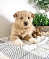 processed/648a52e0-5251-41cb-838c-03651bbcc746/listing/baff5be5-615b-4d38-ba7e-42032232d66c/423873f4-cd00-4bd1-9c07-829952456ebe