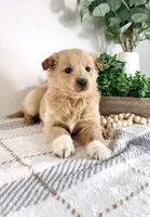 processed/648a52e0-5251-41cb-838c-03651bbcc746/listing/baff5be5-615b-4d38-ba7e-42032232d66c/9349312d-a7f3-45bf-a839-60668fd85391