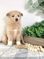 processed/648a52e0-5251-41cb-838c-03651bbcc746/listing/baff5be5-615b-4d38-ba7e-42032232d66c/a758d363-44e1-42e8-a8be-5b7fda0b1873