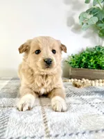 processed/648a52e0-5251-41cb-838c-03651bbcc746/listing/baff5be5-615b-4d38-ba7e-42032232d66c/b1a537ff-320e-4ccd-a117-57ae6f6a0ef4