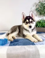 processed/648a52e0-5251-41cb-838c-03651bbcc746/listing/d3ed603a-d390-416a-ba03-18fbf1dfe350/1a16e40e-3d1d-4958-a35a-4d803c0a7632