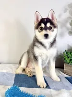 processed/648a52e0-5251-41cb-838c-03651bbcc746/listing/d3ed603a-d390-416a-ba03-18fbf1dfe350/8b7c7018-2825-465b-a174-564137744939