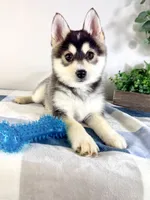 processed/648a52e0-5251-41cb-838c-03651bbcc746/listing/d3ed603a-d390-416a-ba03-18fbf1dfe350/986cc9a1-1e23-432f-8320-4f72b2adc23d