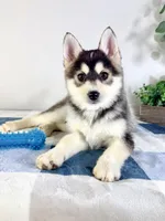 processed/648a52e0-5251-41cb-838c-03651bbcc746/listing/d3ed603a-d390-416a-ba03-18fbf1dfe350/a6680cbd-c02a-48f9-ac0e-24f05d56ad7b