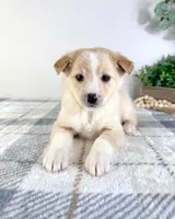 processed/648a52e0-5251-41cb-838c-03651bbcc746/listing/f67ff0c6-401f-4040-a5c3-e91ce7290555/5a79a6d2-3262-4a31-a28b-5ed9342ce825