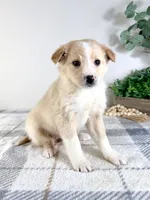 processed/648a52e0-5251-41cb-838c-03651bbcc746/listing/f67ff0c6-401f-4040-a5c3-e91ce7290555/6dda2231-645c-4aab-ac34-5efabfe818b0