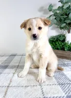 processed/648a52e0-5251-41cb-838c-03651bbcc746/listing/f67ff0c6-401f-4040-a5c3-e91ce7290555/96cfe6de-312a-4fc5-afc9-c471ffe31e1a