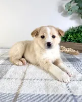 processed/648a52e0-5251-41cb-838c-03651bbcc746/listing/f67ff0c6-401f-4040-a5c3-e91ce7290555/fed1392f-e8f9-4e46-9b9e-a1c7e03dfd4c