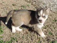 processed/648cf9f2-85c8-4d69-9a31-e6044b9ecbe4/listing/0cd97533-6f12-4b52-952c-021c82de973b/28157177-bab2-463c-a187-4d0a9eaded66