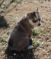 processed/648cf9f2-85c8-4d69-9a31-e6044b9ecbe4/listing/0cd97533-6f12-4b52-952c-021c82de973b/dfdfaf83-ef04-4821-b1ce-e93290d745a2