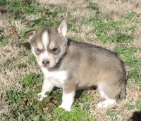 processed/648cf9f2-85c8-4d69-9a31-e6044b9ecbe4/listing/0cd97533-6f12-4b52-952c-021c82de973b/eb15afb4-712f-4c8c-ac2c-d9a339c4ddf4