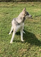 processed/648cf9f2-85c8-4d69-9a31-e6044b9ecbe4/listing/17da95b8-c1bc-4d38-acfa-0ba3b50c7f7f/9caf56c2-8aae-4f12-9e91-af1b073a79a4