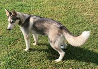 processed/648cf9f2-85c8-4d69-9a31-e6044b9ecbe4/listing/17da95b8-c1bc-4d38-acfa-0ba3b50c7f7f/d335410f-bff2-4a6a-a22c-d4e1ec6fd84e