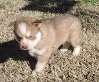 processed/648cf9f2-85c8-4d69-9a31-e6044b9ecbe4/listing/2660386c-981b-4951-aba2-efb2094f3da0/032c8e03-f338-4707-8552-82784ea89128