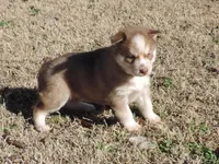 processed/648cf9f2-85c8-4d69-9a31-e6044b9ecbe4/listing/2660386c-981b-4951-aba2-efb2094f3da0/3aaa52a8-77ad-4aaa-9767-be10368bb7d6