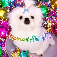 processed/648fcda3-86e2-4f25-b0b4-3a9fd1ca4ea2/facility/9e05d8cd-0ece-4598-9033-3f0adfc3bff2