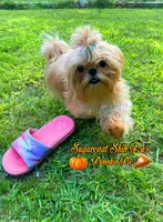 processed/648fcda3-86e2-4f25-b0b4-3a9fd1ca4ea2/listing/98832bb9-05f9-44a1-95df-236ed4bea735/6c6e20d8-cefb-4f7a-869d-ea3992031a5e