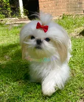 processed/648fcda3-86e2-4f25-b0b4-3a9fd1ca4ea2/listing/98832bb9-05f9-44a1-95df-236ed4bea735/b38ab28e-fb06-41ee-ba52-27def4b49a24