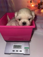 processed/648fcda3-86e2-4f25-b0b4-3a9fd1ca4ea2/listing/98832bb9-05f9-44a1-95df-236ed4bea735/fa76ca51-16e1-4838-a782-0fc0e744b111