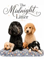OREO , a male Goldendoodle for sale in Coweta, OK – 2 of 3